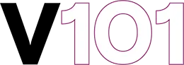 Visual 101 Logo