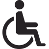 Handicapped Icon
